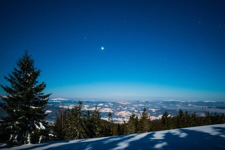 Beautiful landscape with majestic tall fir trees growing among white snowdrifts against the blue sky on a sunny frosty winter day. Concept of trekking and eco friendly vacation. advertising spaceの写真素材