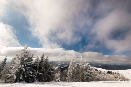Mesmerizing winter landscape with a snowy slope and trees growing against a blue sky and white clouds on a sunny frosty winter day. The concept of pristine natural environmentの写真素材