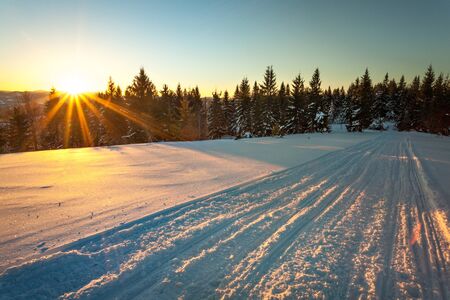 Bewitching view of the ski slope with a beautiful view of the snowy hill coniferous forest and sunny mountain ranges on a clear frosty day. Concept of relaxation in a ski resort. Place for textの写真素材