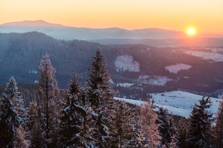 View from above mesmerizing picturesque landscape of mountain ranges covered with dense and snowy fir forests against the setting sun on a clear winter evening. Northern Nature Beauty Conceptの写真素材