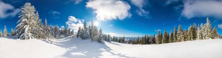 Beautiful snow-covered slope with fir trees covered with snow stand against the blue sky on a sunny...
