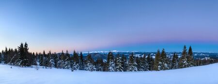 Picturesque landscape of a snowy forest growing in the hills among the snowdrifts pink-purple sunset in a frosty winter evening. Place for advertisingの写真素材