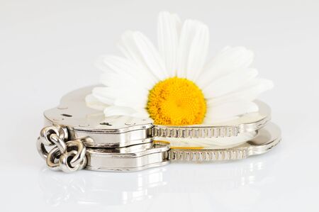 Close-up chrome metal handcuffs turned off lie on a white table next to a camomile. Concept of pleasant slavery and conclusion. Idea concept. Advertising spaceの写真素材