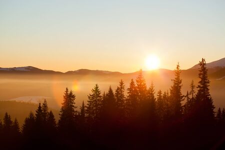 View from above mesmerizing picturesque landscape of mountain ranges covered with dense and snowy fir forests against the setting sun on a clear winter evening. Northern Nature Beauty Conceptの写真素材