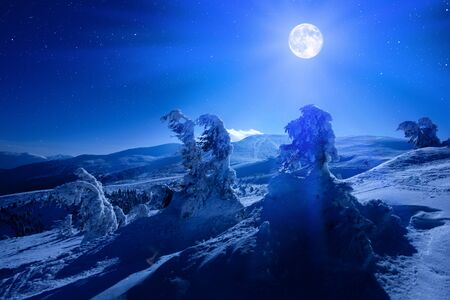 Full moon over winter deep forest covered with snow on winter night with many stars in sky. Landscape of winter wonderland nature conceptの写真素材