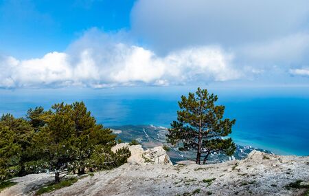 Top view of scenic panorama of coastal village near the sea with tall spruce against background of...