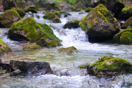 Small stream flows with waterfall and mossy stones around. Fallen tree lies above the water