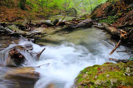 Small stream flows with waterfall and mossy stones around. Fallen tree lies above the waterの写真素材