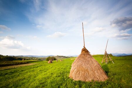 Beautiful landscape, green field with heaps of hay in village. Blue sky with big white clouds,...
