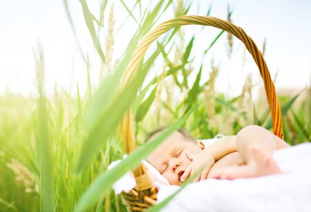 Child sleeping in wooden basket in grassの写真素材