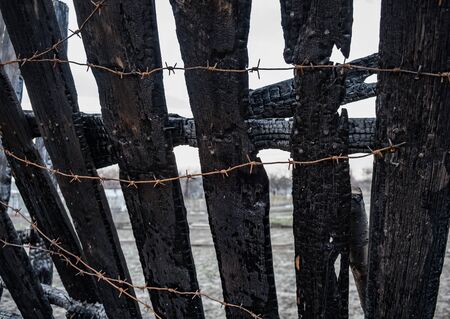 Burnt fence with barbed wire. The consequences of not careful and thoughtless handling of fire.の写真素材