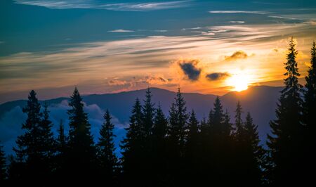 View of beautiful bright sunset in mountains. Silhouettes of fir trees with dramatic yellow sky on background. Concept of evening in forest.の写真素材