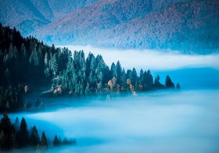 View of picturesque mountain valley with blue sky on background. Magnificent highlands with colorful trees and hills covered with dense fog. Concept of nature and rolling hills.の写真素材