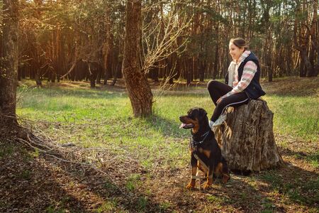 Walking with a dog in a coniferous forestの写真素材