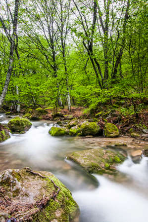 Small stream flows with waterfall and mossy stones around. Fallen tree lies above the waterの写真素材