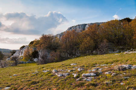 Photo from top of Ai-Petri mountain, tree grows on rock, beautiful horizon and blue sky with white cloudsの写真素材