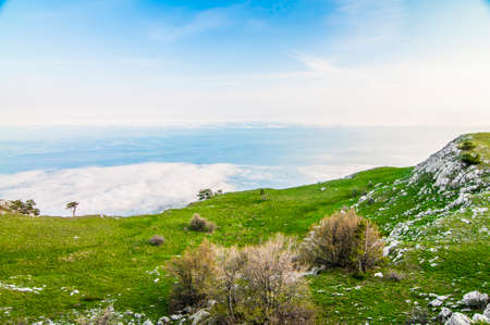 Photo from top of Ai-Petri mountain, tree grows on rock, beautiful horizon and blue sky with white cloudsの写真素材