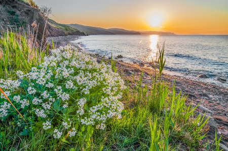 Sunset on seashore, rocky beach and blue sky. Small hills covered with green plants in backgroundの写真素材