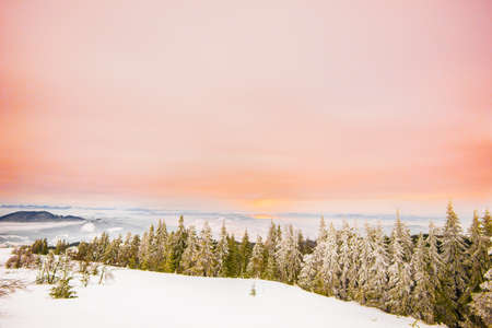 Bewitching beautiful landscape of hills and slopes with dense fir forest with thick layer of snow overlooking cloudy sky on frosty winter evening. Concept of relaxation in northern country. Copyspaceの写真素材