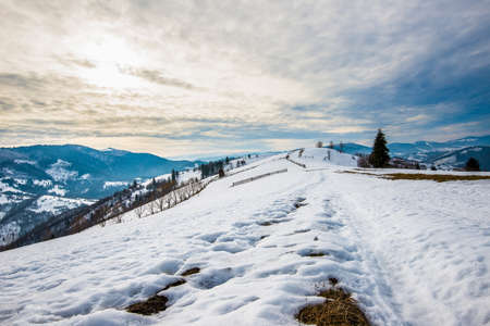 Beautiful panorama of mountain slopes with trails overlooking the hills and coniferous forests overcast and frosty on a winter evening. Winter tourism and leisure concept. Advertising spaceの写真素材