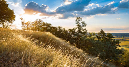 Beautiful landscape of green meadows and forest, summer sunset. Panoramic view from hill with dry...