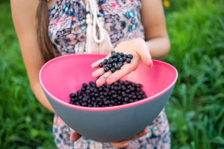 Unrecognizable girl holding bowl with black currant berries.の写真素材
