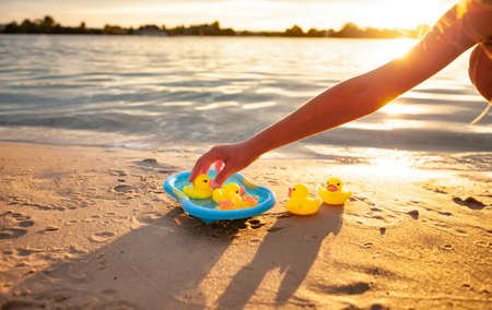 Unrecognizable kid playing with rubber ducks on seashore.の写真素材