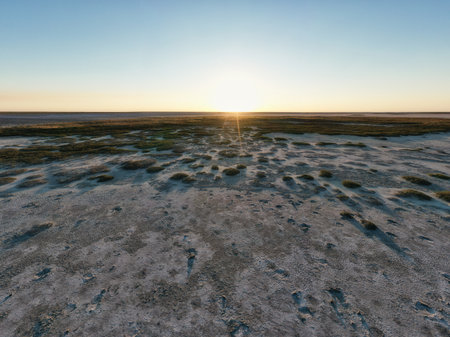 Top view of a sandy swamp with large patches of grass and bushesの写真素材