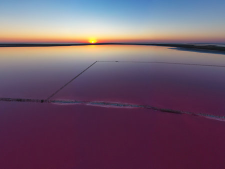 Top view of a shiny salty pink lake and a path along itの写真素材