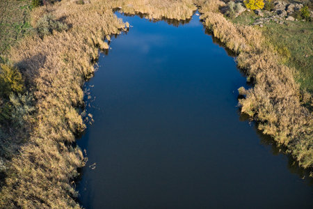 A stream flowing among huge stones covered with small dry plants in the warm evening light in...