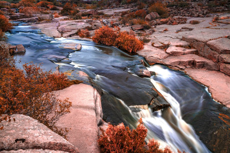 Stream runs among white wet stones covered with grass in golden autumnの写真素材