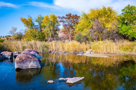 A large number of stone minerals covered with vegetation lying over a small river in picturesque Ukraineの写真素材