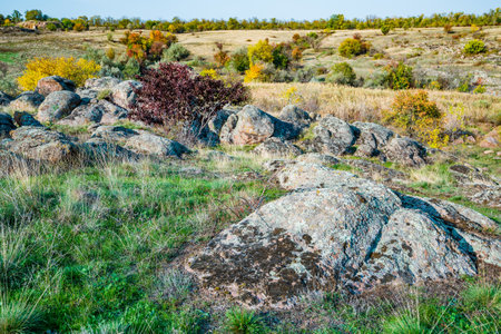 Huge deposits of stone minerals in a clearing bathed in warm sunの写真素材