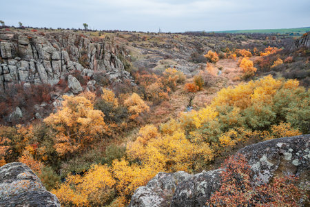 Aktovsky Canyon, Ukraine. Autumn trees and large stone boulders aroundの写真素材