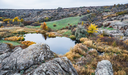 A small, small, wonderful river runs fast in the middle of green meadows and gray rocks on the beautiful nature of the Carpathian hillsの写真素材