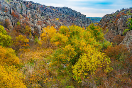 Aktovsky Canyon, Ukraine. Autumn trees and large stone boulders aroundの写真素材