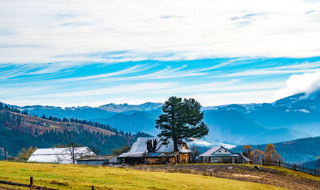 Beautiful forests covering the Carpathian mountains and a small villageの写真素材