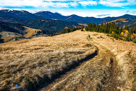 A winding path leading far into the hills of the Carpathian nature among the forestsの写真素材