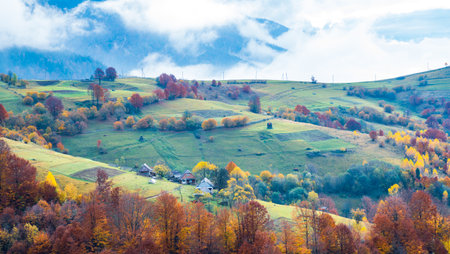 Colorful forests in the warm Carpathian mountains covered with thick gray fogの写真素材