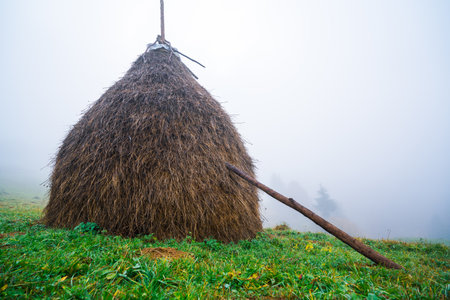 A large haystack stands on a green field among the dense gray fogの写真素材
