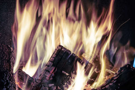 Fiery yellow orange tongues on dark background rise up in a brick fireplace burning flame, cold...
