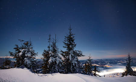 Mesmerizing night landscape snowy fir trees grow among snowdrifts against the backdrop of non-mountain ranges and a starry clear sky. Beauty concept of northern nature. Northern Lights Conceptの写真素材