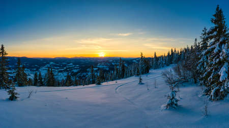 Magical winter panorama of beautiful snowy slopesの写真素材