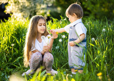 Brother and sister have fun playing with blooming white yellow and fluffy dandelions in a warm spring gardenの写真素材
