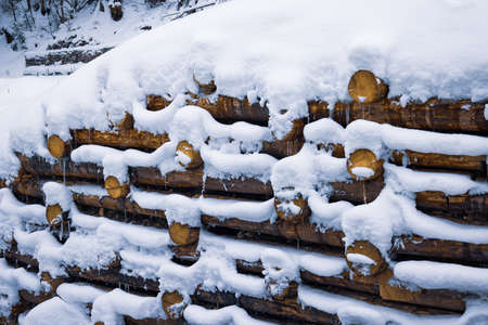 Strengthening of logs, wooden wall under snow in winterの写真素材