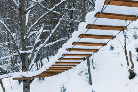 Rope park covered with snow is located in the trees in a desert forest in winterの写真素材