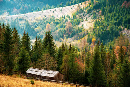 Beautiful green hills covered with colorful autumn trees in the wonderful Carpathian mountains in picturesque Ukraineの写真素材
