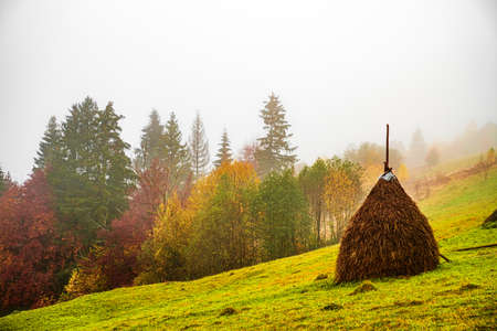 A large haystack stands on a green field among the dense gray fogの写真素材