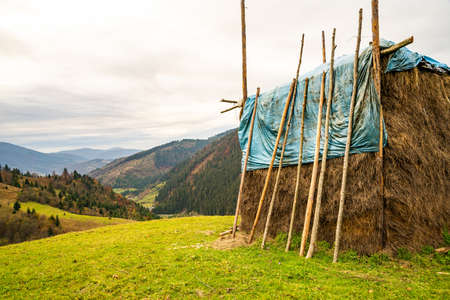 Haystack in a green meadow in not very good weatherの写真素材