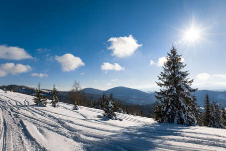 ATV and ski tracks in snow on frosty winter dayの写真素材